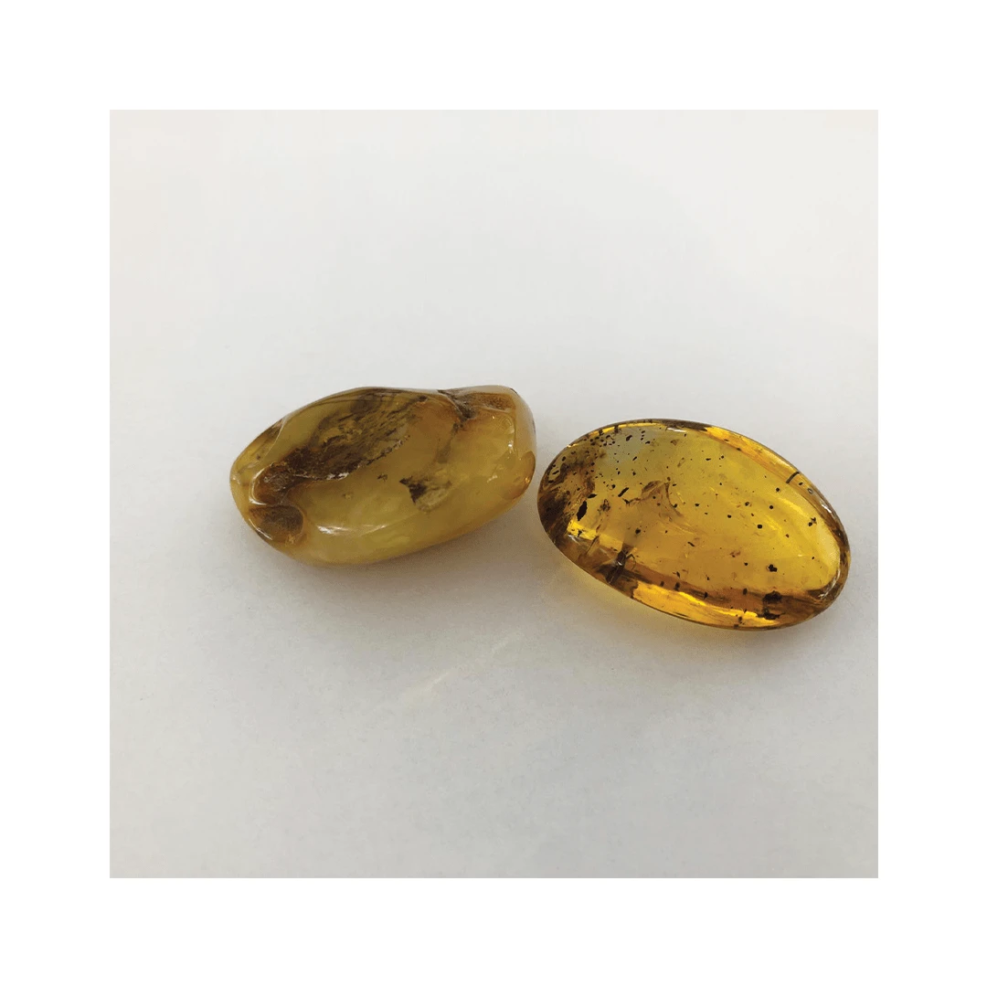 Echten baltischen Bernstein in Stockholm kaufen