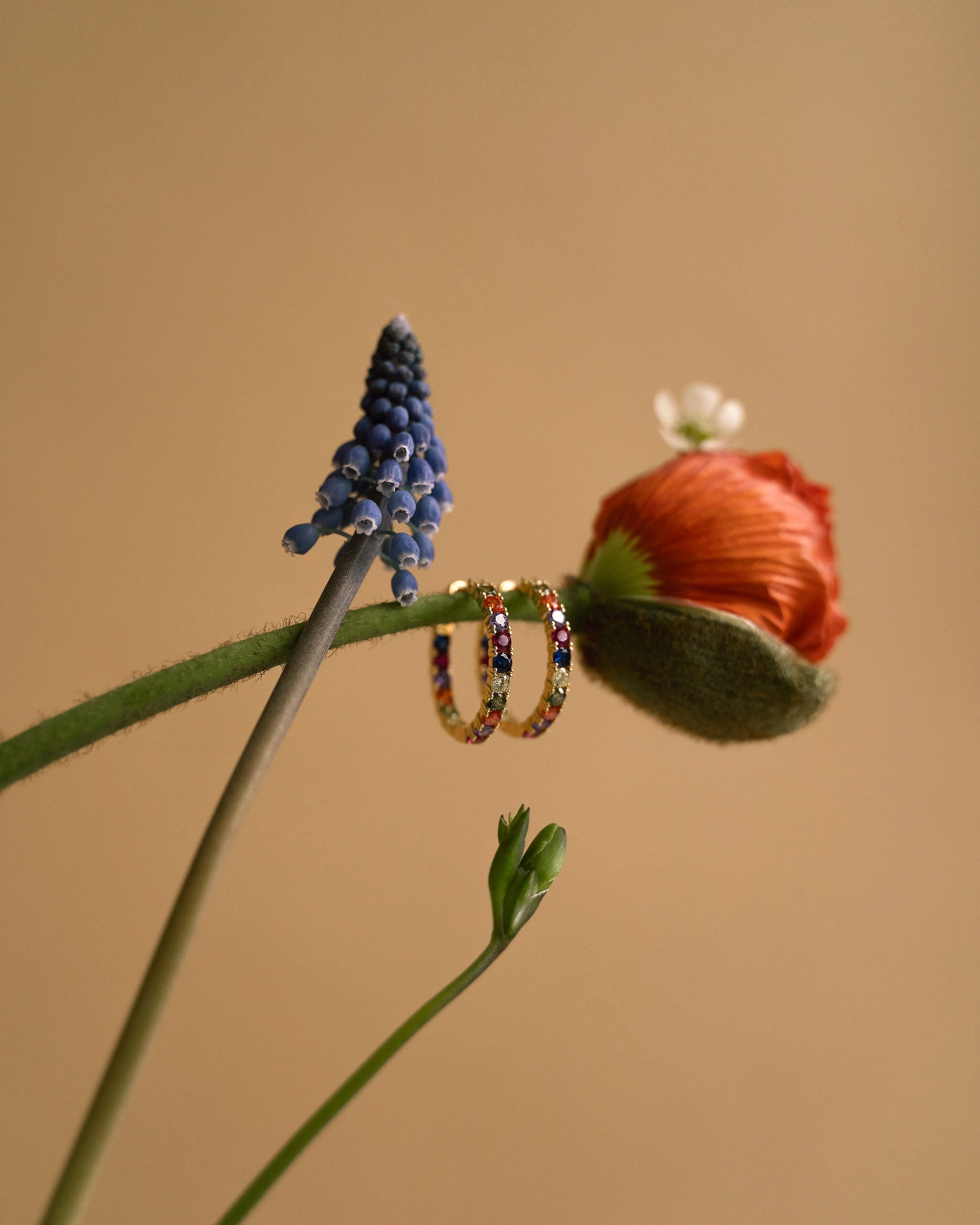 Creoler regnbåge 26 mm