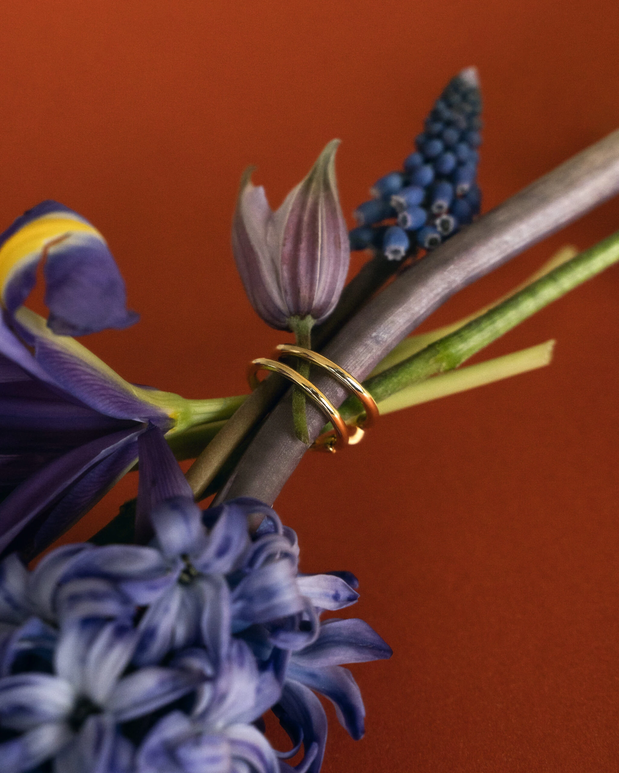 Thumbnail of Hoop gold earrings