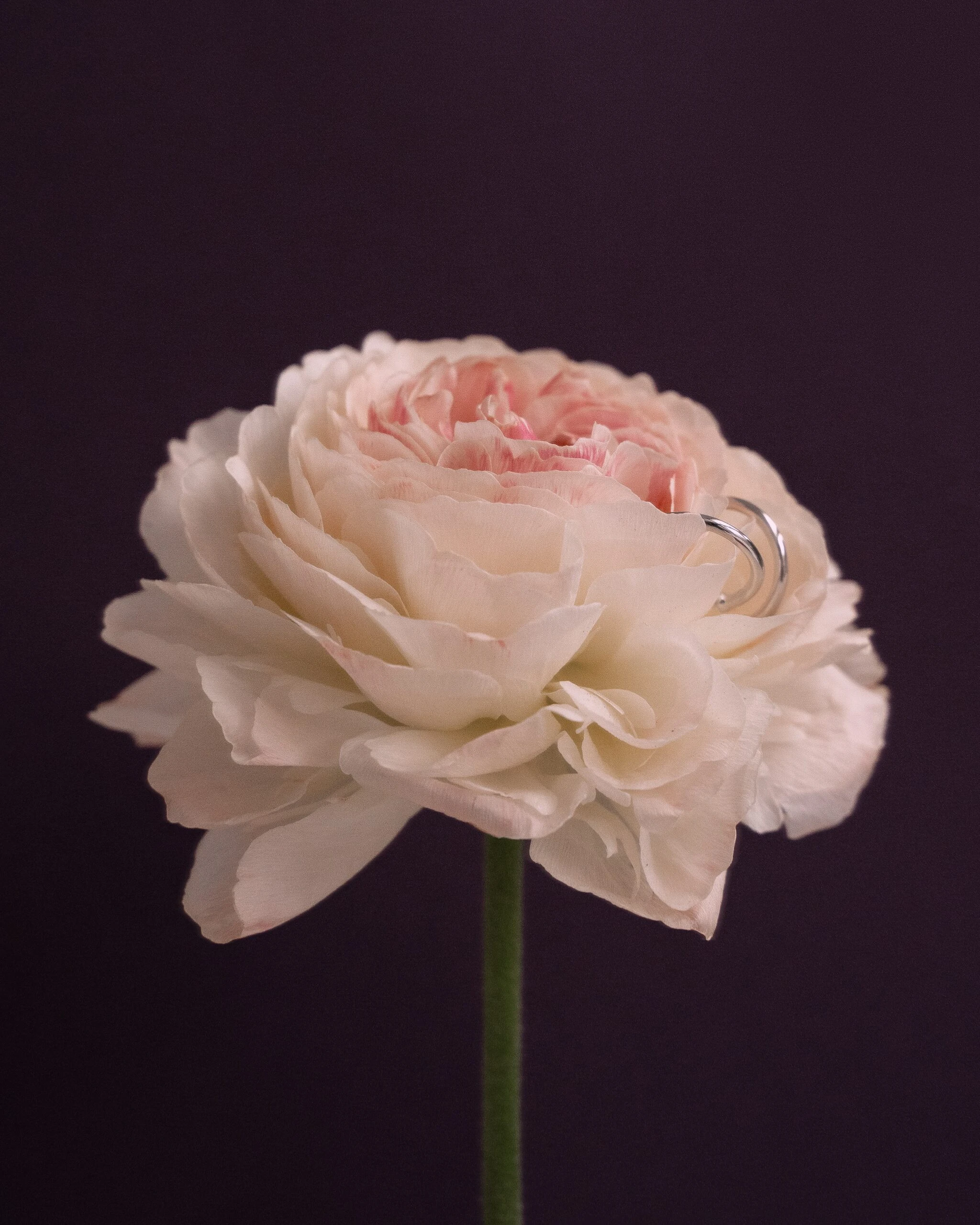 Thumbnail of Hoop silver earrings