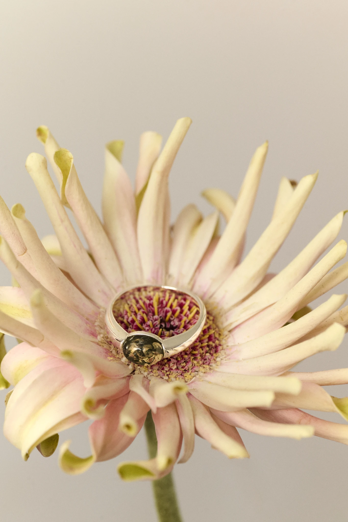 Thumbnail of Nora silver ring with green amber
