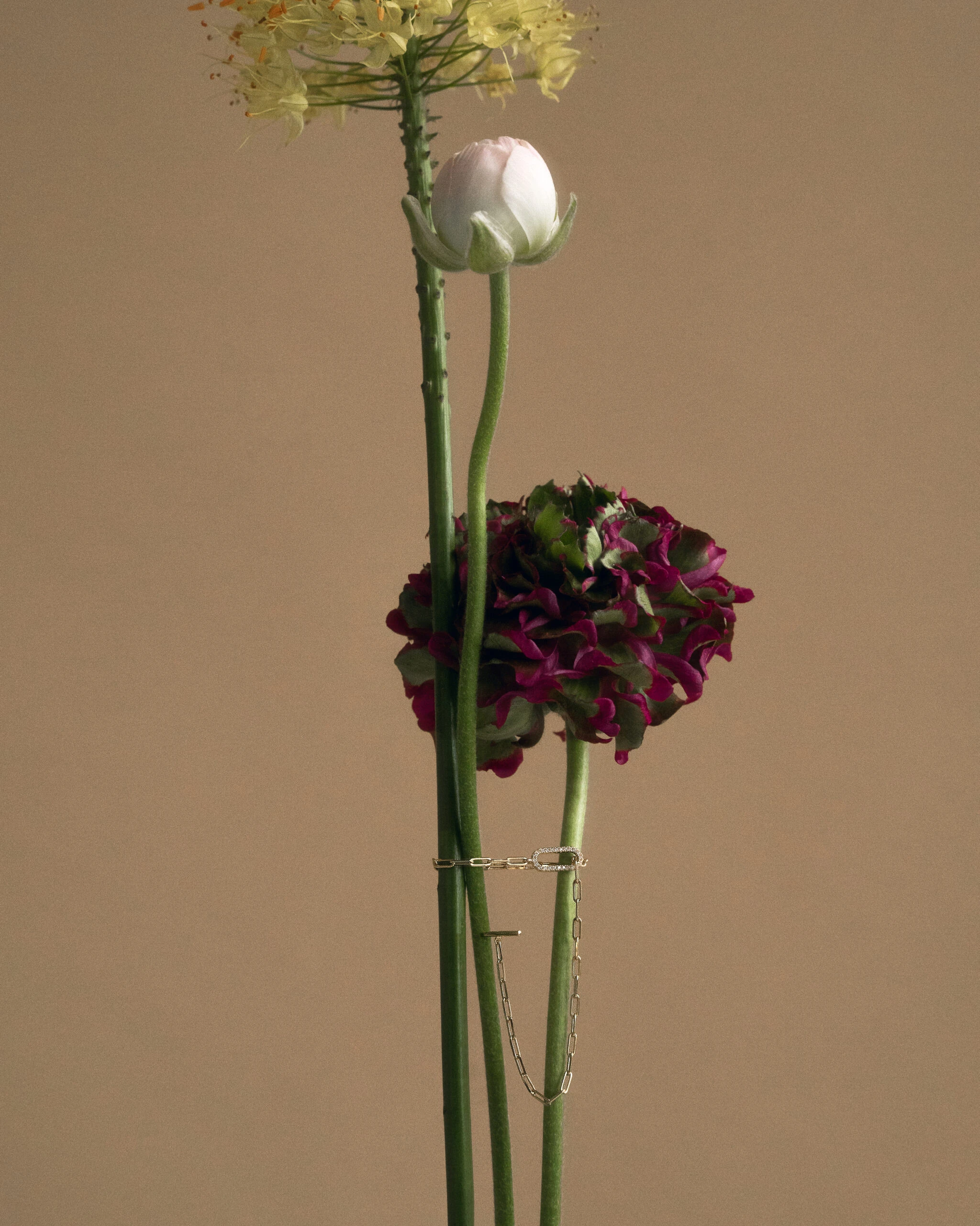 Miniatyrbild av Nova guldarmband