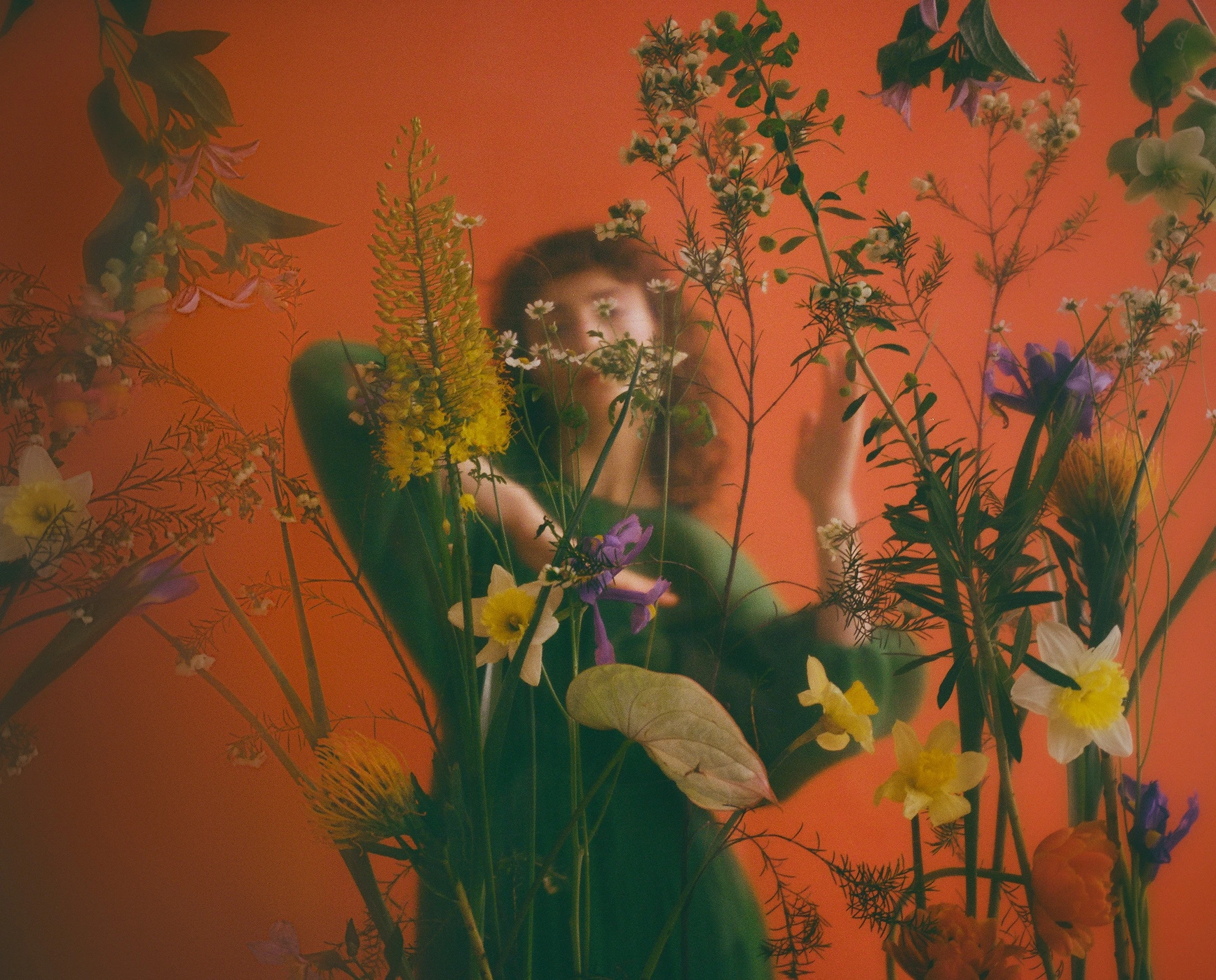 Thumbnail of Nova gold earrings L