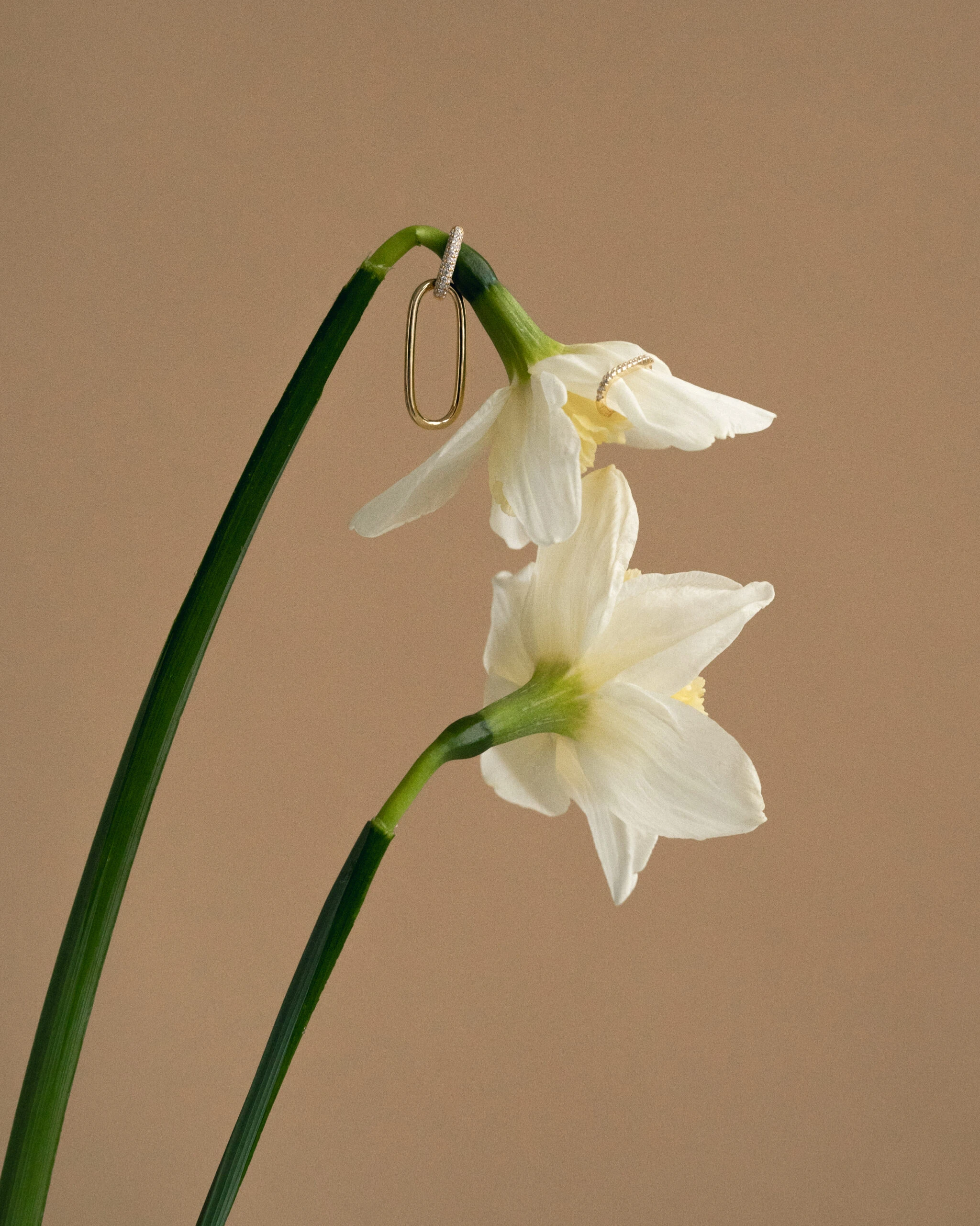 Thumbnail of Nova gold earrings L