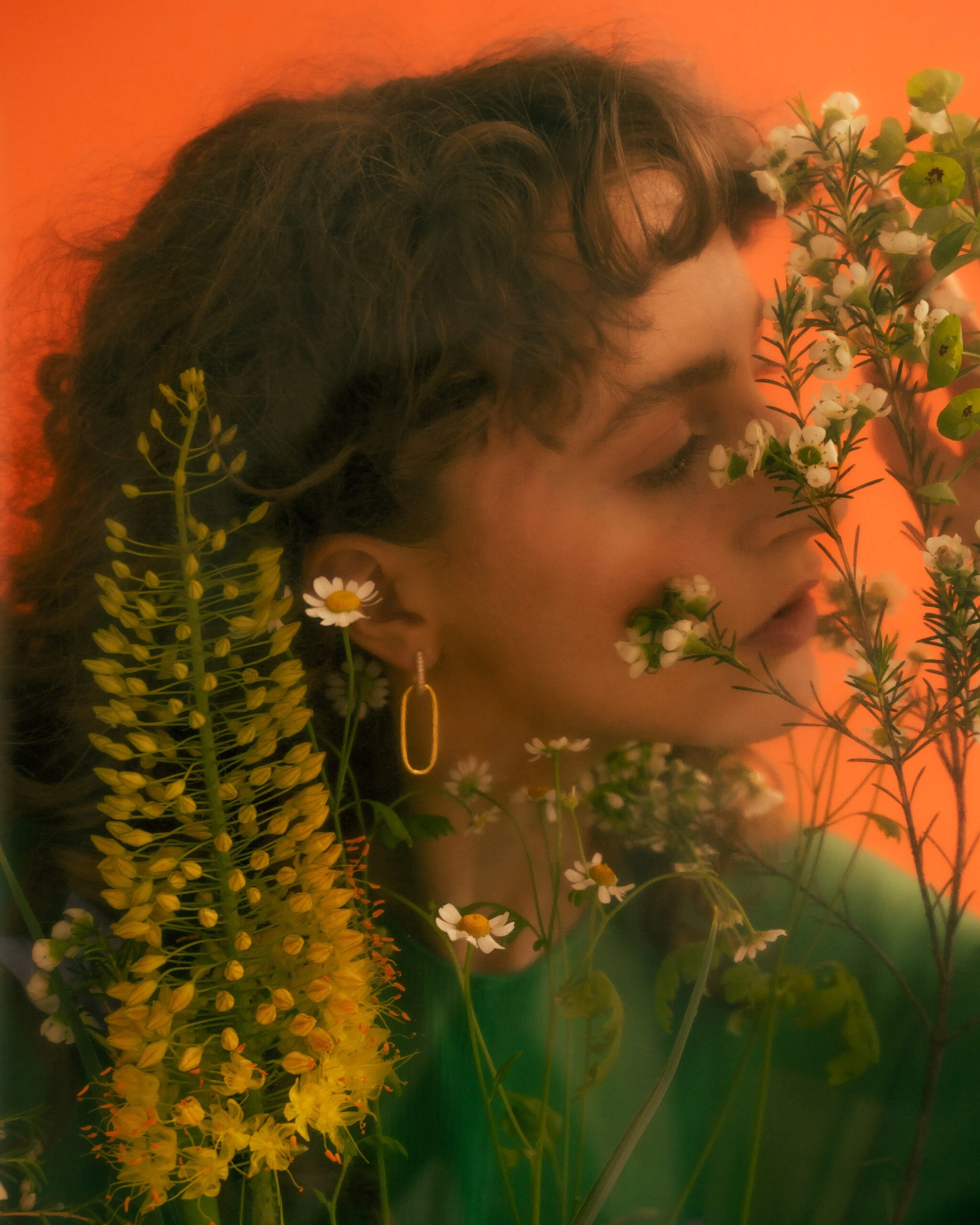 Thumbnail of Nova gold earrings L