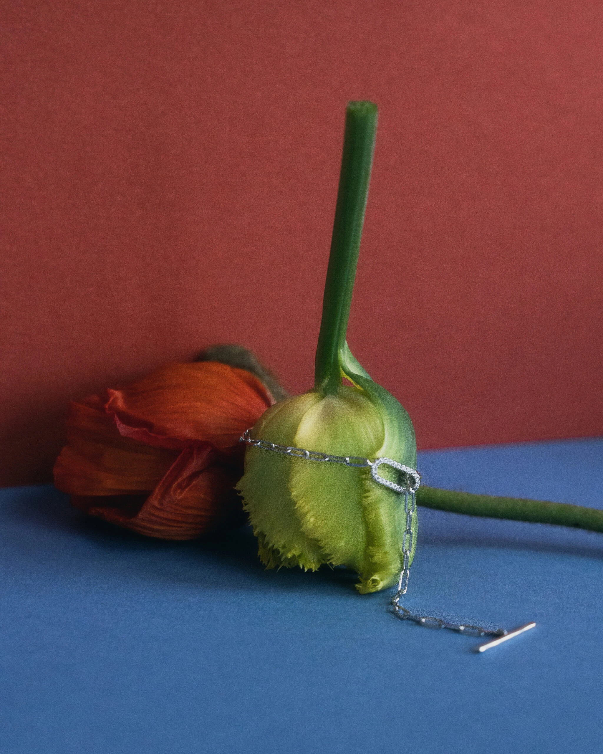 Thumbnail of Nova silver bracelet