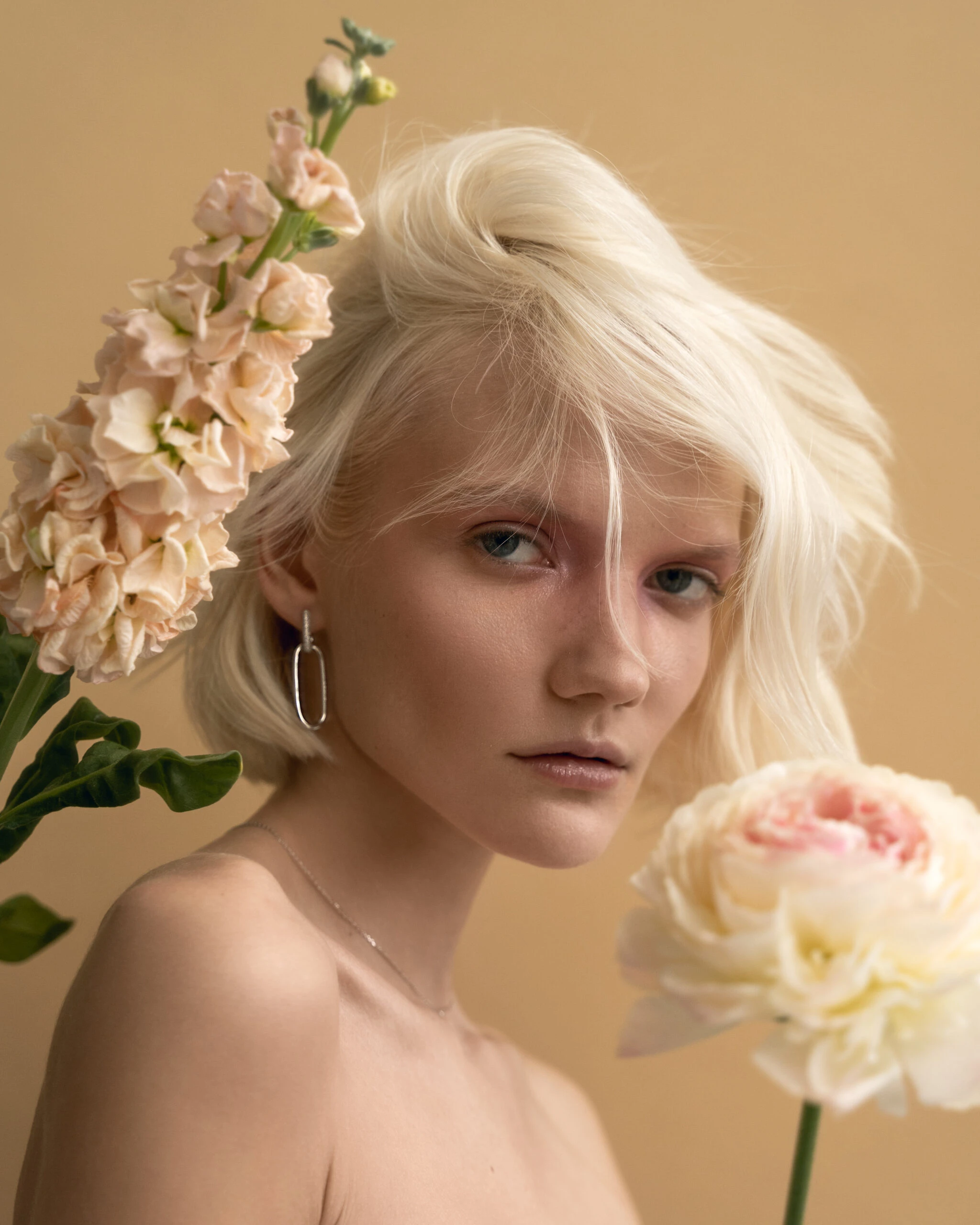 Thumbnail of Nova silver earrings L