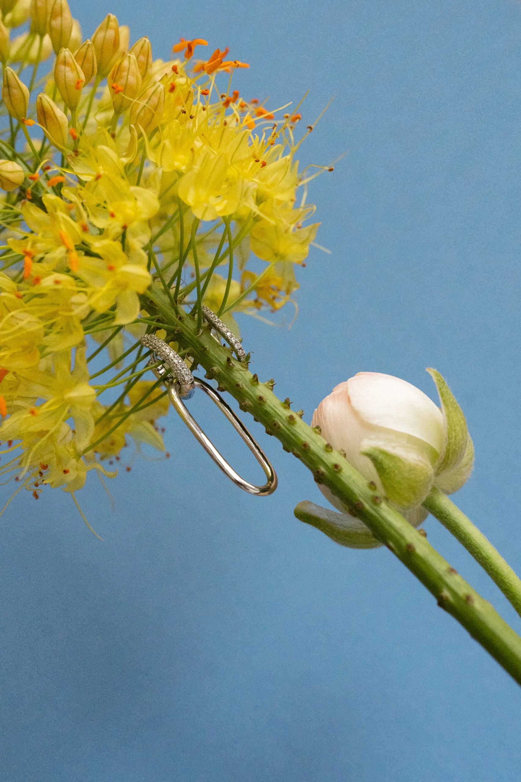 Thumbnail of Nova silver earrings L