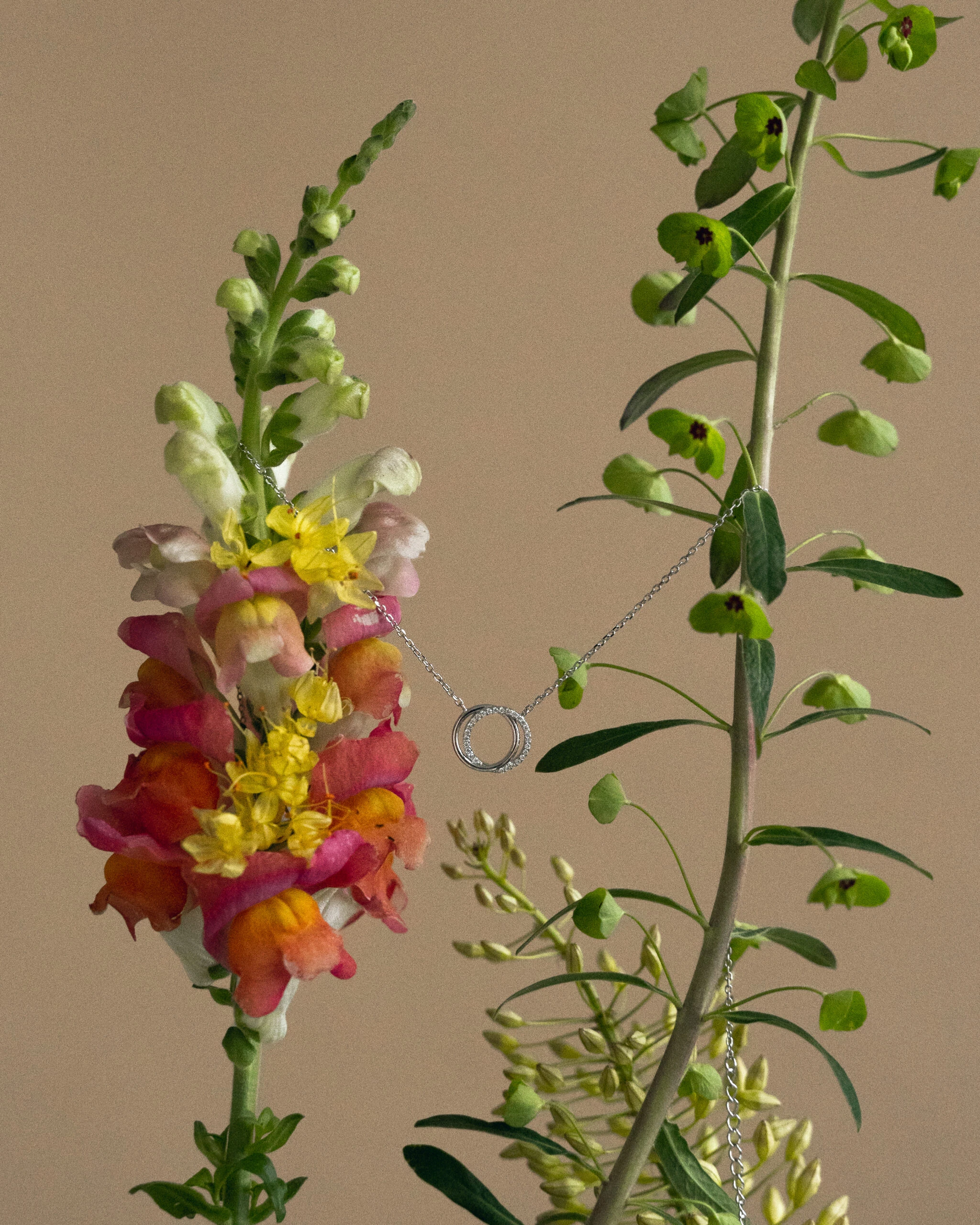 Thumbnail of Pave duo circle silver necklace