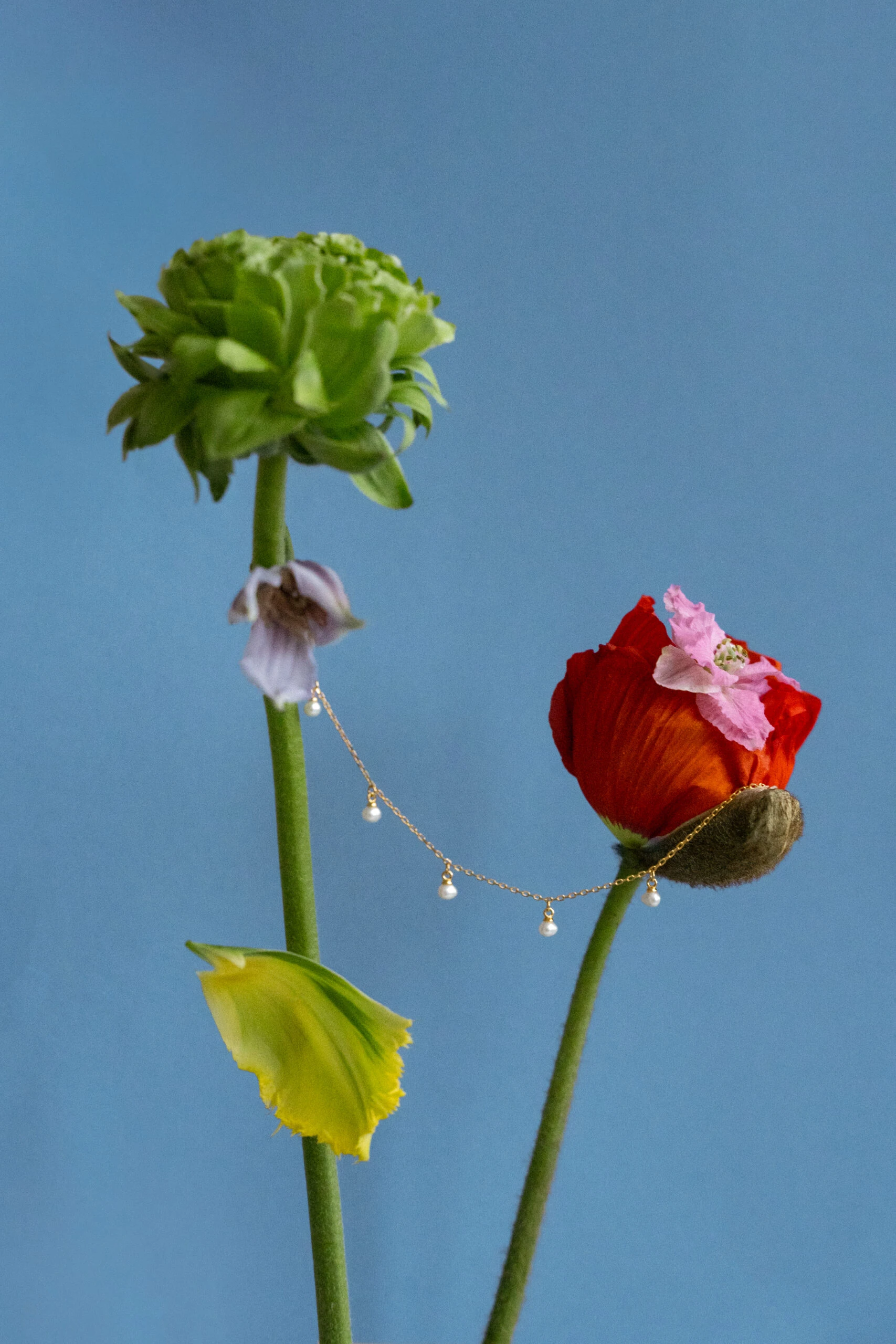 Thumbnail of Pearl bracelet in gold