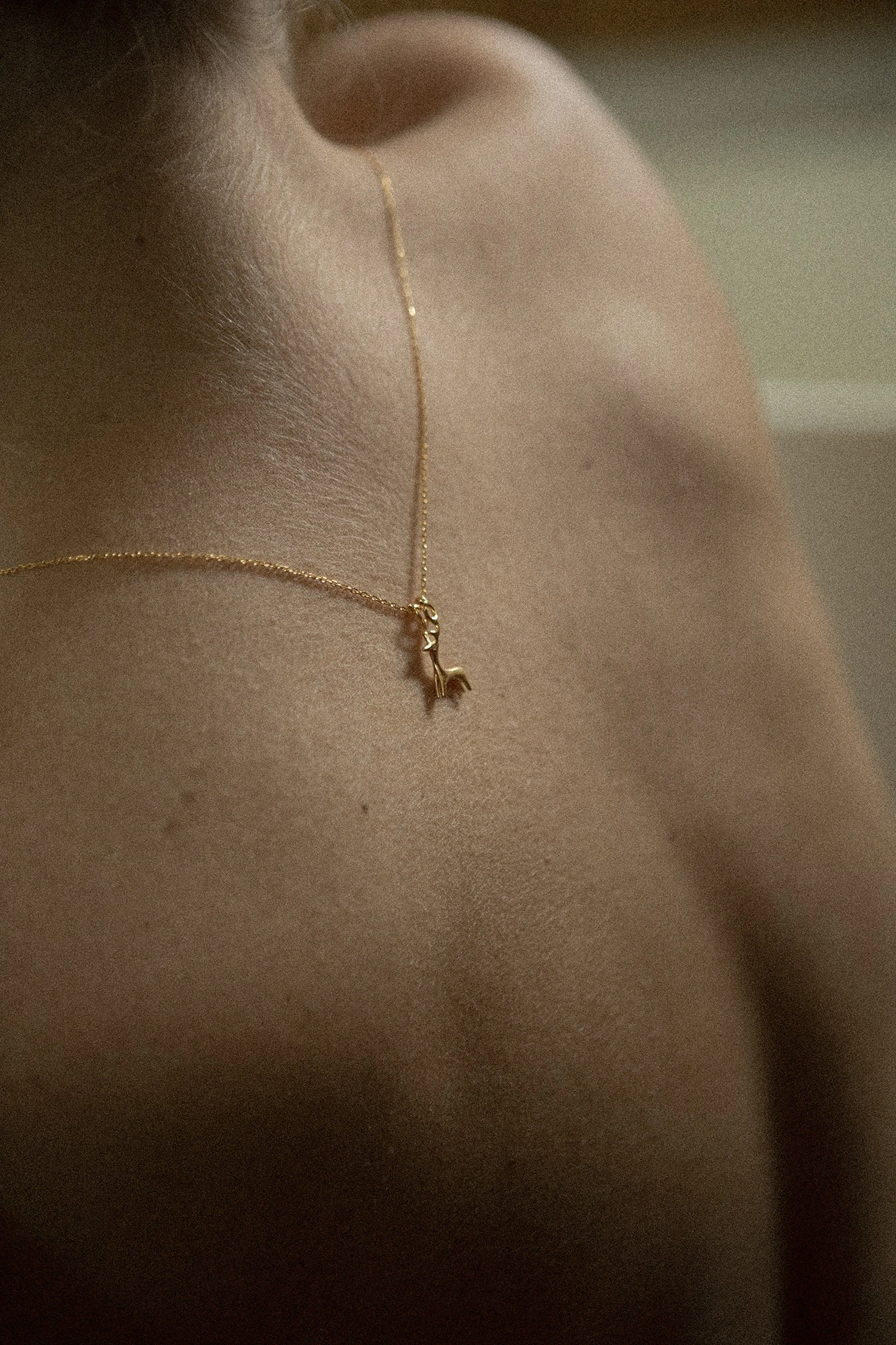 Miniatyrbild av Ren guldhalsband