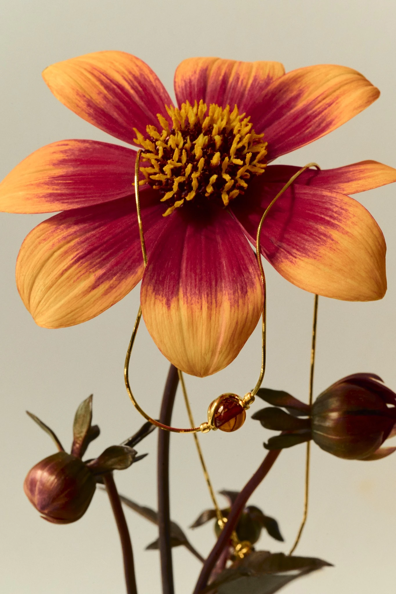 Thumbnail of Sophia gold necklace