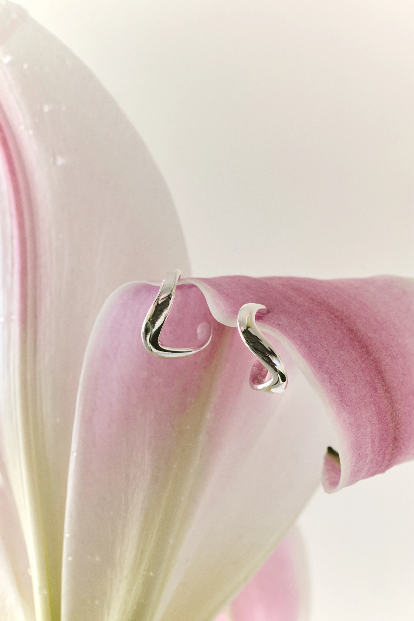 Trust silverörhängen