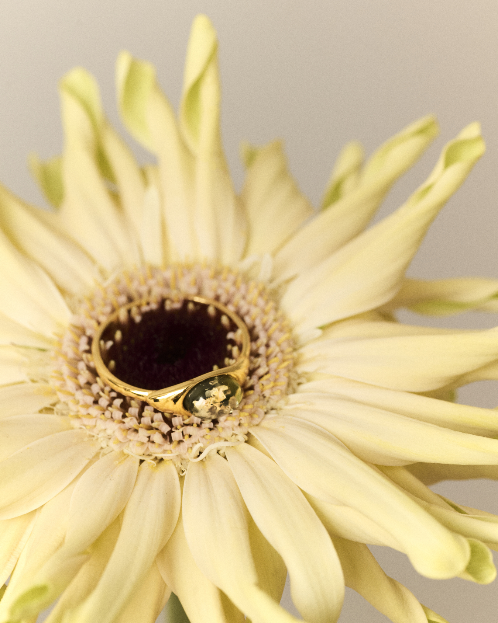 Thumbnail of Ines gold ring with green amber