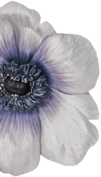 Flower 2
